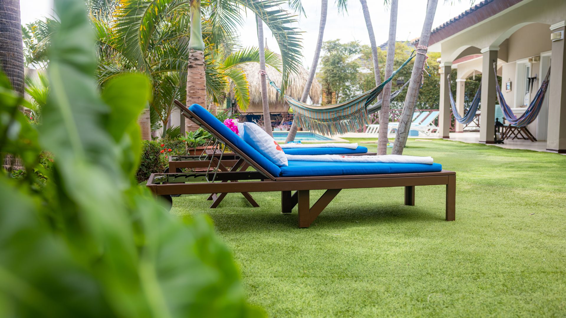 Pool at a bed and breakfast on Curaçao