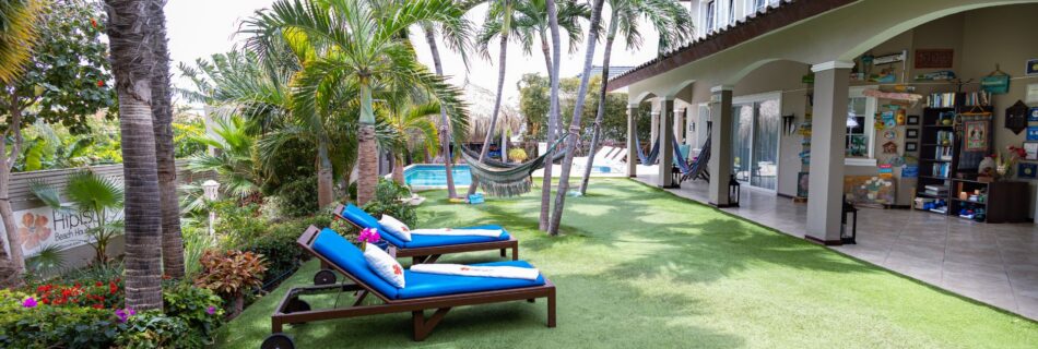 Zwembad en tuin van Hibiscus Beach House in Jan Thiel, Curaçao