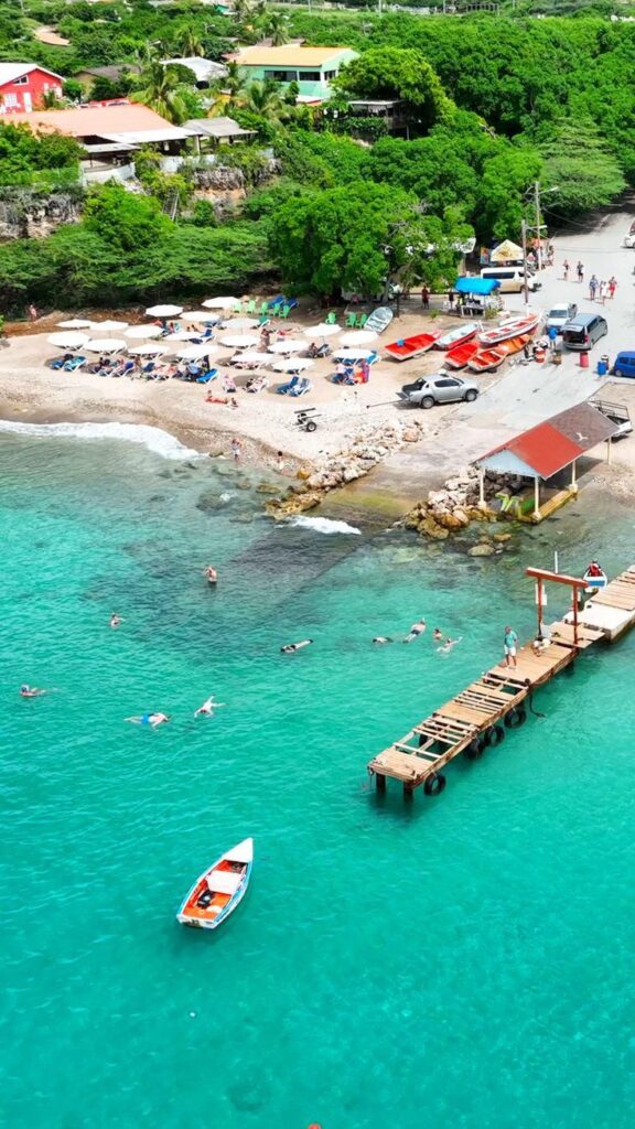 Zeeschildpad bij Playa Piskado op Curaçao