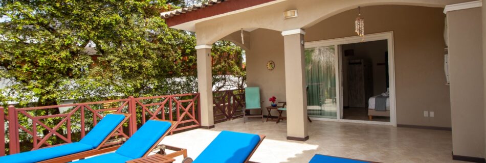 Tropische tuin met zwembad bij Hibiscus Beach House